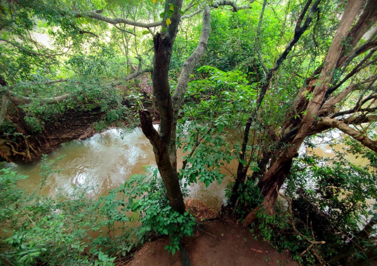 Sigiriya River Side Villa Kültér fotó