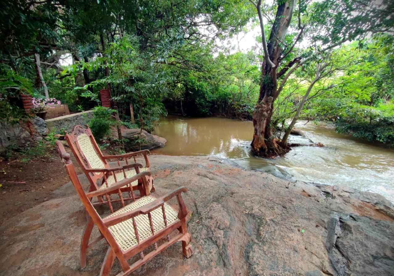 Sigiriya River Side Villa Kültér fotó