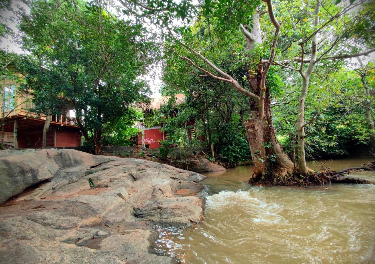 Sigiriya River Side Villa Kültér fotó