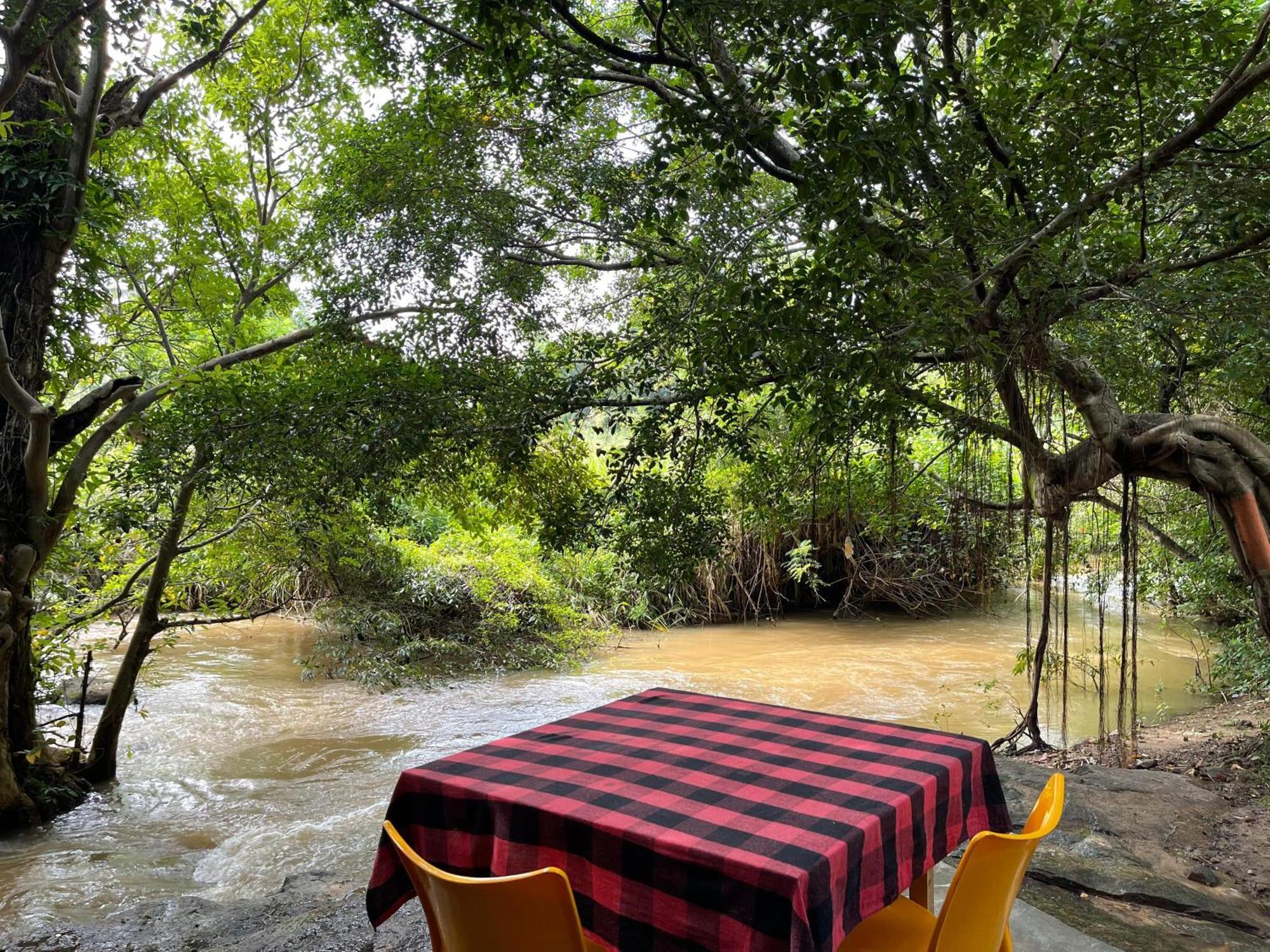 Sigiriya River Side Villa Kültér fotó