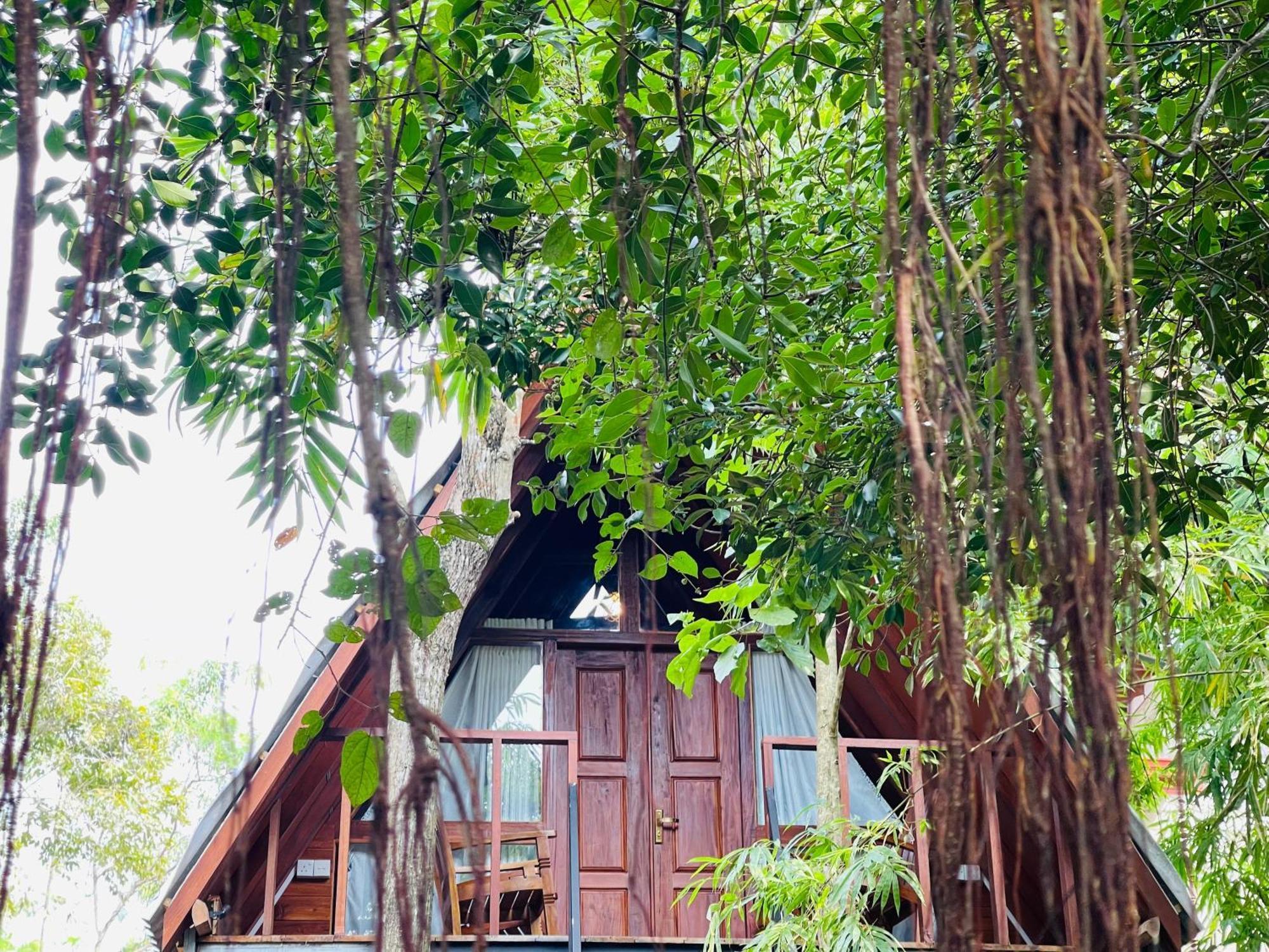 Sigiriya River Side Villa Kültér fotó