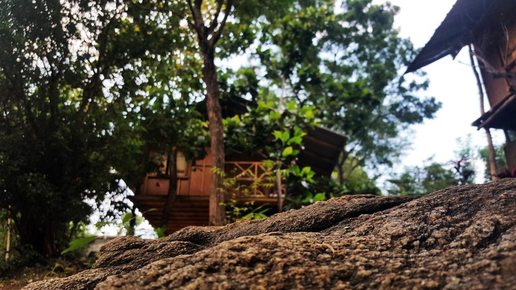 Sigiriya River Side Villa Kültér fotó