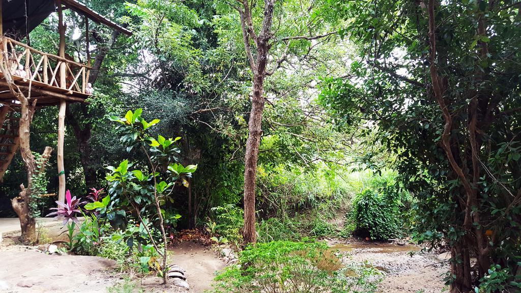 Sigiriya River Side Villa Kültér fotó